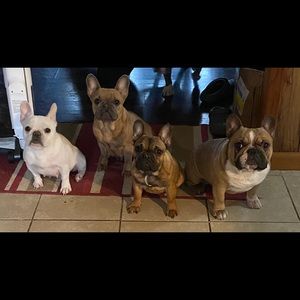 Not for sale. Picture just to make you smile